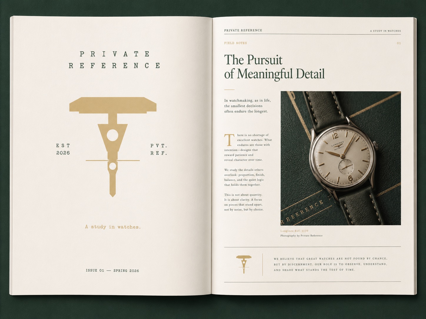 Brand Strategy and Identity preview