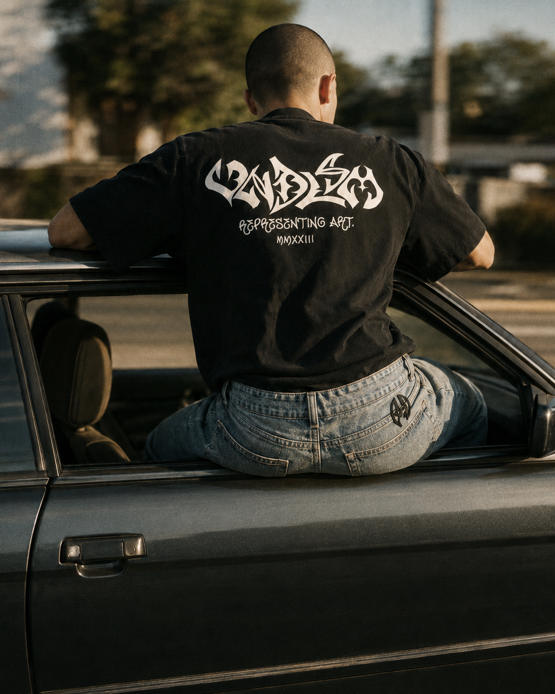 VNDLSM — representing art